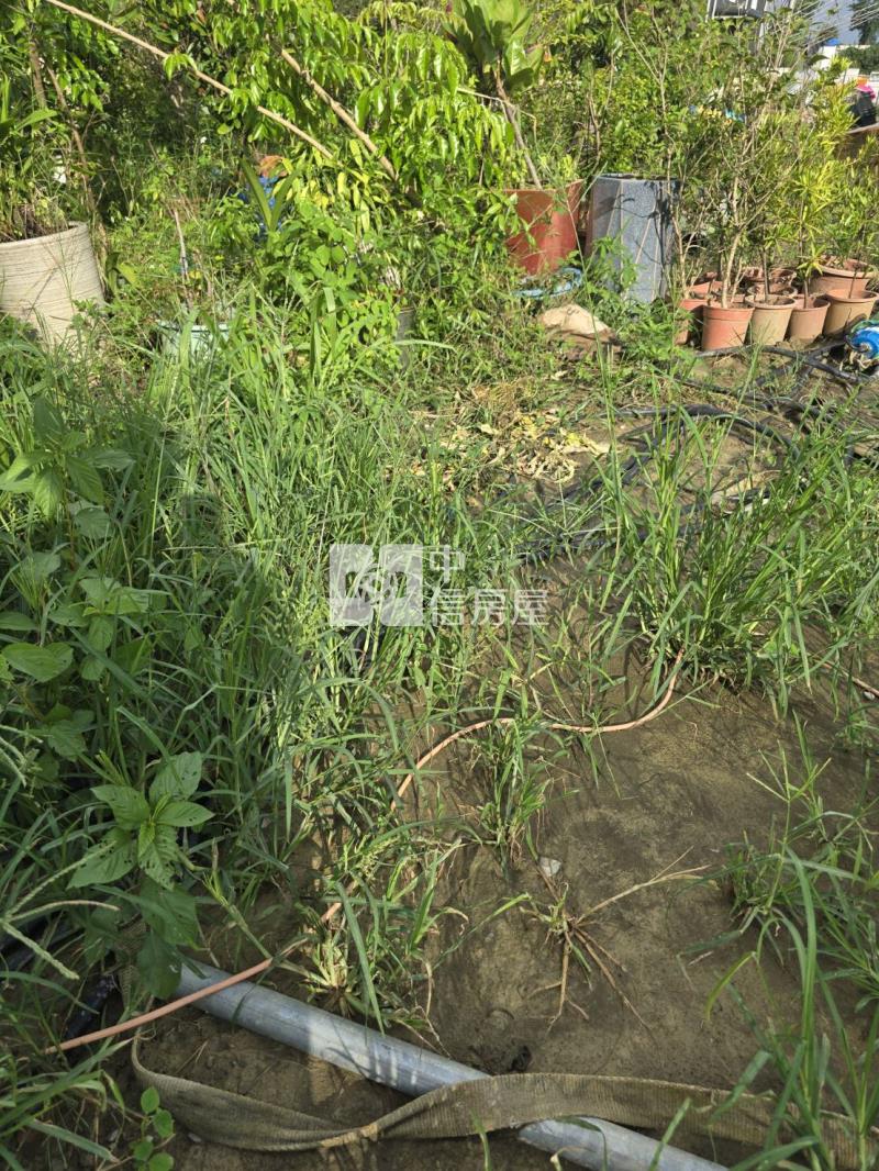 三角窗小型農地房屋室內格局與周邊環境