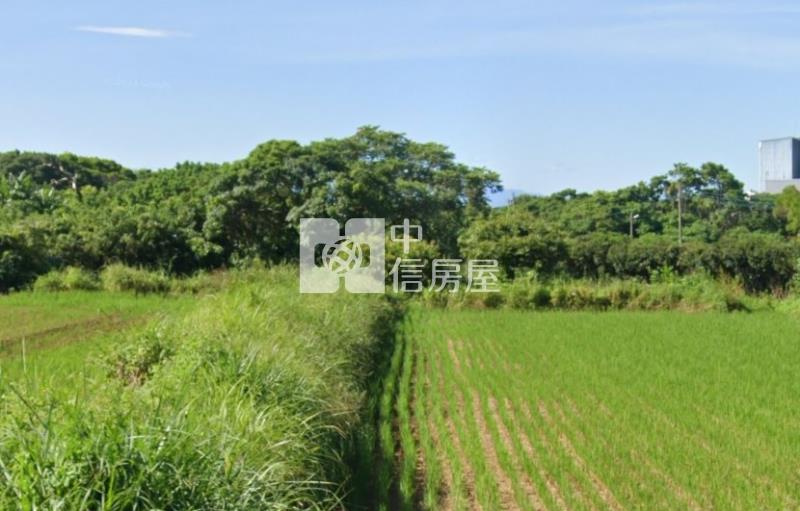 青埔特區旁正月桃路廠房房屋室內格局與周邊環境