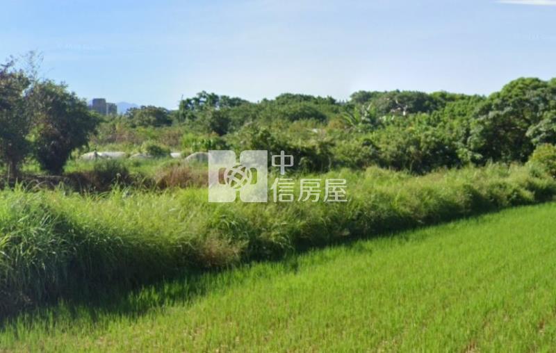 青埔特區旁正月桃路廠房房屋室內格局與周邊環境