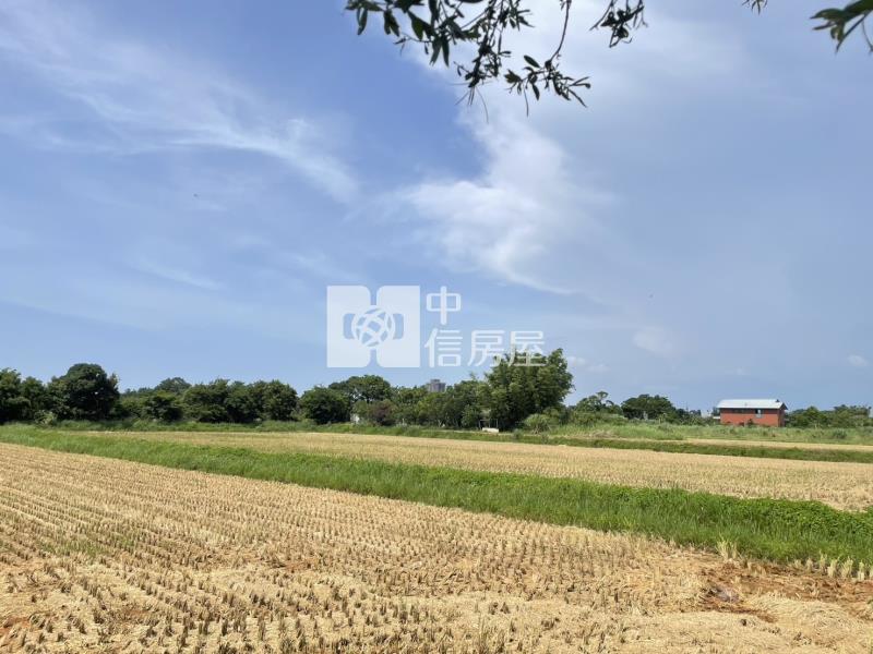 【安家】楊梅楊湖路農地(雙面臨路)房屋室內格局與周邊環境
