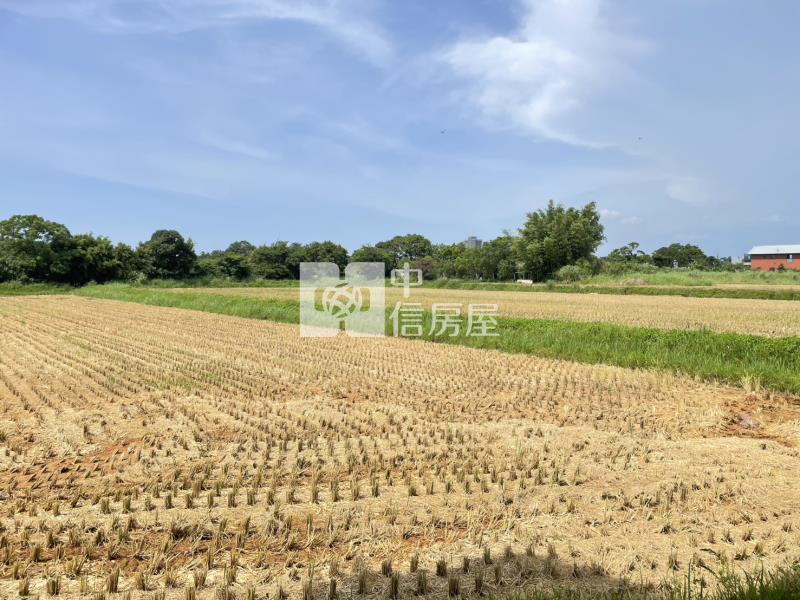 【安家】楊梅楊湖路農地(雙面臨路)房屋室內格局與周邊環境