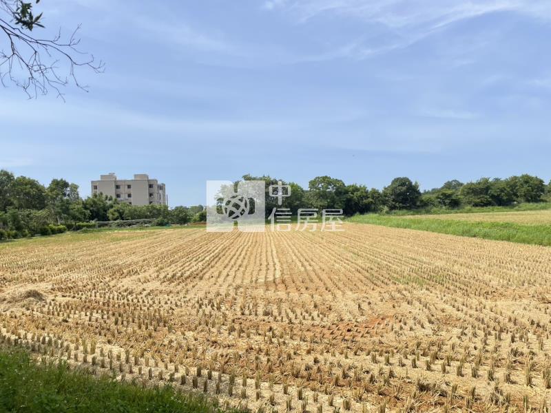【安家】楊梅楊湖路農地(雙面臨路)房屋室內格局與周邊環境