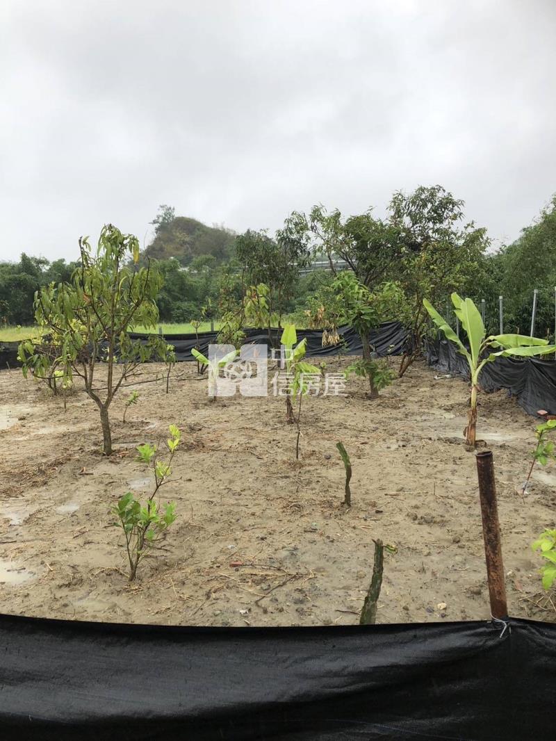 小型休閒農地房屋室內格局與周邊環境