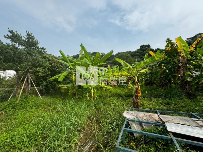 臨路農牧用地房屋室內格局與周邊環境