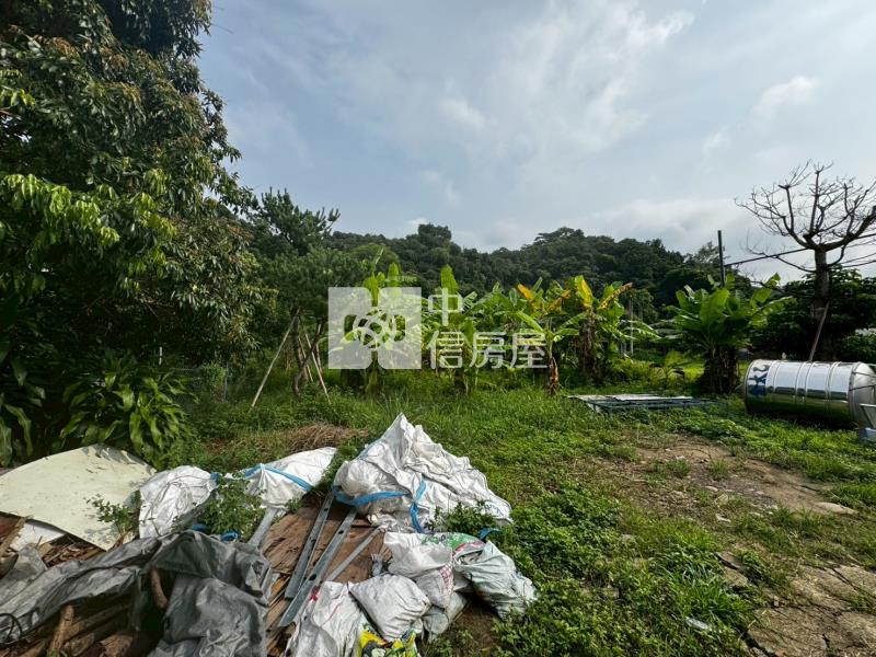 臨路農牧用地房屋室內格局與周邊環境