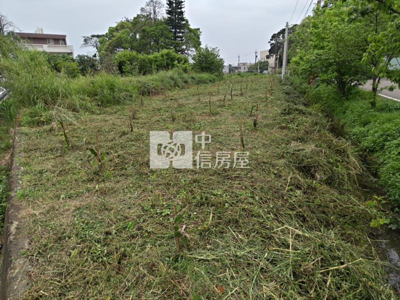 稀有🚩平鎮66旁都內農地房屋室內格局與周邊環境