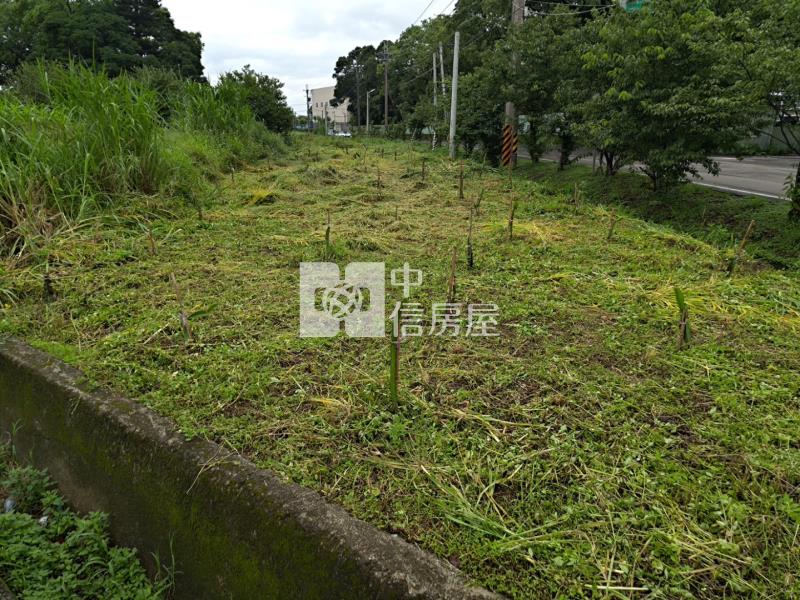 稀有🚩平鎮66旁都內農地房屋室內格局與周邊環境