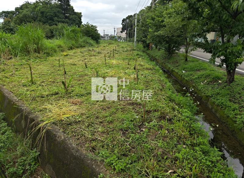 稀有🚩平鎮66旁都內農地房屋室內格局與周邊環境