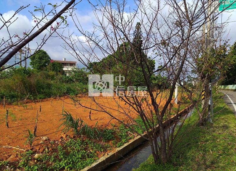 稀有🚩平鎮66旁都內農地房屋室內格局與周邊環境