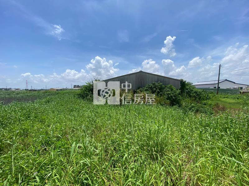 豐安養殖用地房屋室內格局與周邊環境