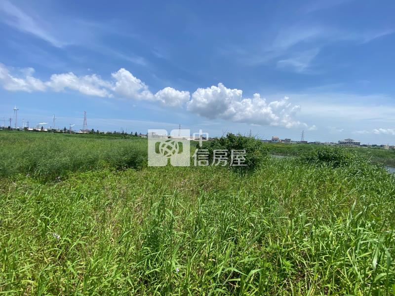 豐安養殖用地房屋室內格局與周邊環境