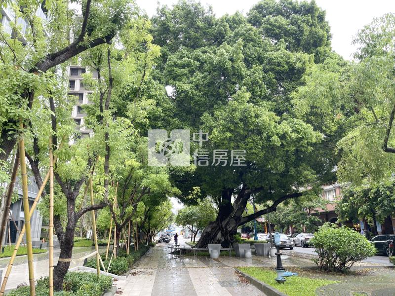 湖濱新綻雙平車角店房屋室內格局與周邊環境