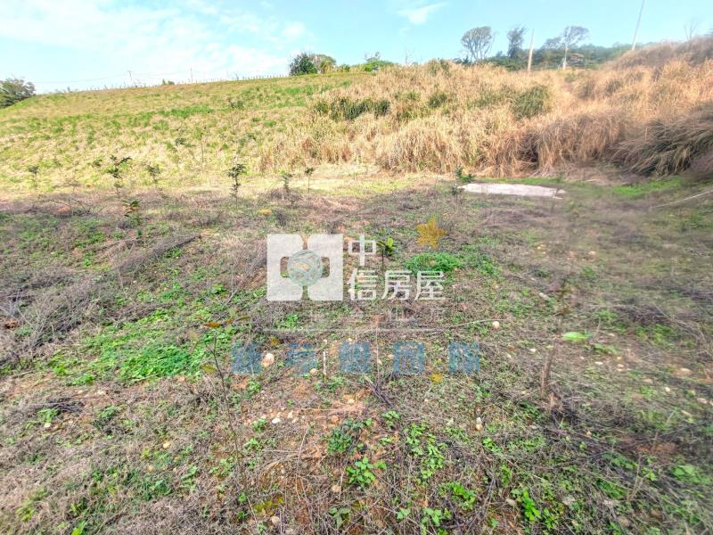 【新夢想】楊梅交流道景觀農地房屋室內格局與周邊環境