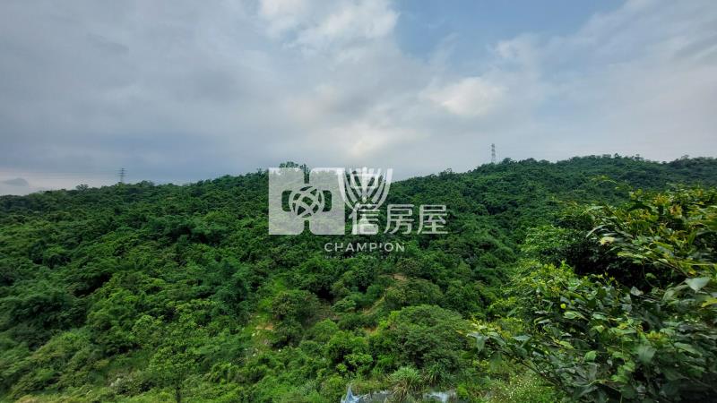 【冠軍】東新街山林美寓房屋室內格局與周邊環境