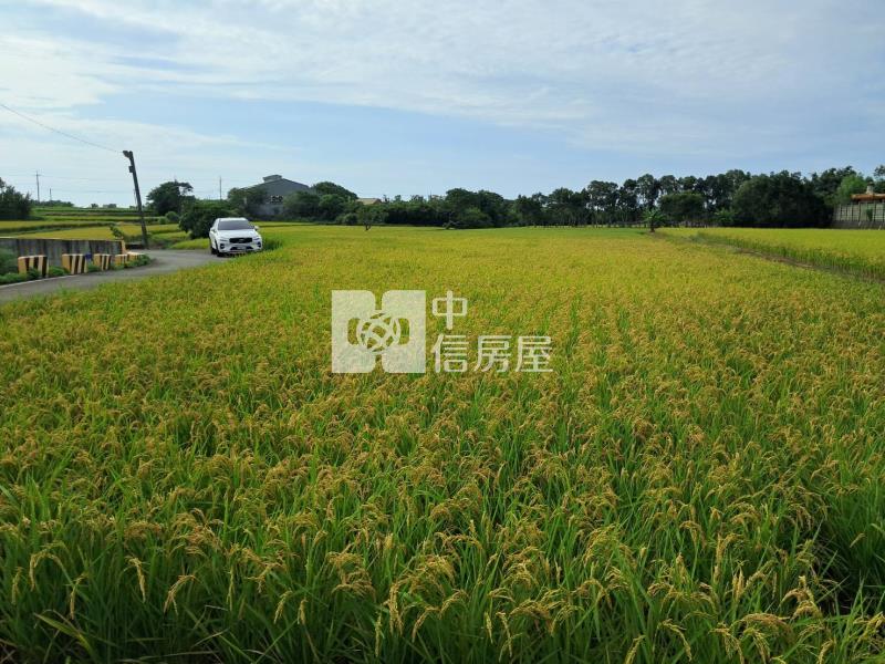 觀音66快速路旁田房屋室內格局與周邊環境