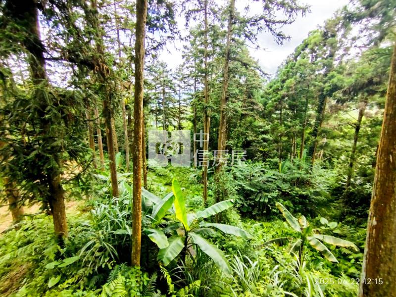 竹東近五指山快樂休閒農地房屋室內格局與周邊環境