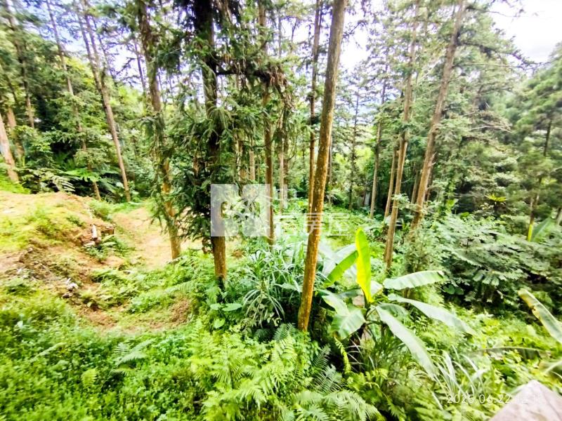 竹東近五指山快樂休閒農地房屋室內格局與周邊環境
