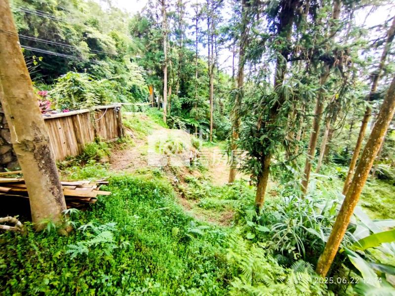 竹東近五指山快樂休閒農地房屋室內格局與周邊環境