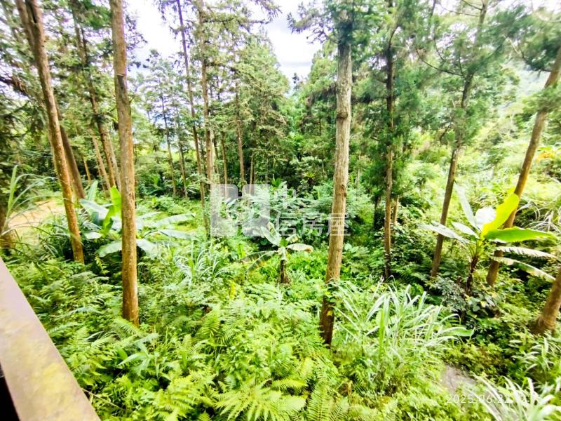 竹東近五指山快樂休閒農地房屋室內格局與周邊環境