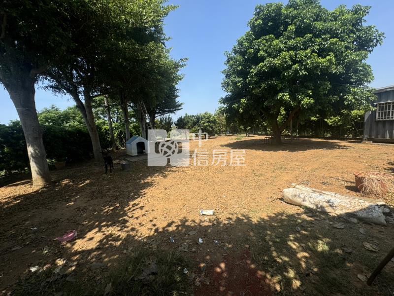 觀音前後院獨棟大農舍房屋室內格局與周邊環境