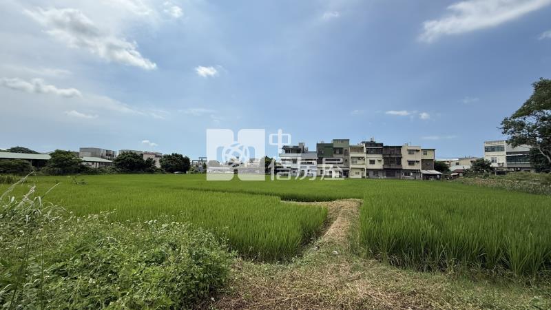 忠愛莊美農地房屋室內格局與周邊環境