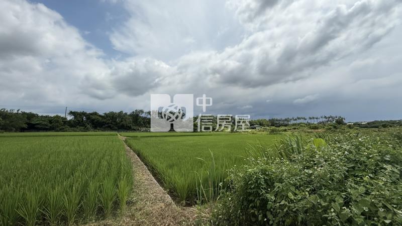 忠愛莊美農地房屋室內格局與周邊環境