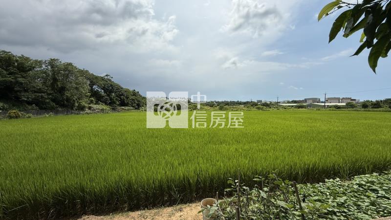 忠愛莊美農地房屋室內格局與周邊環境