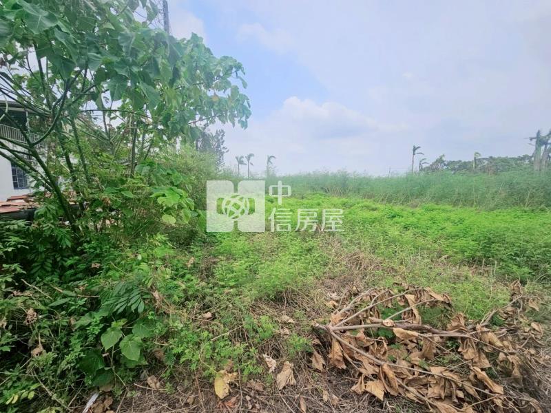 太保安東國小旁持分美地房屋室內格局與周邊環境