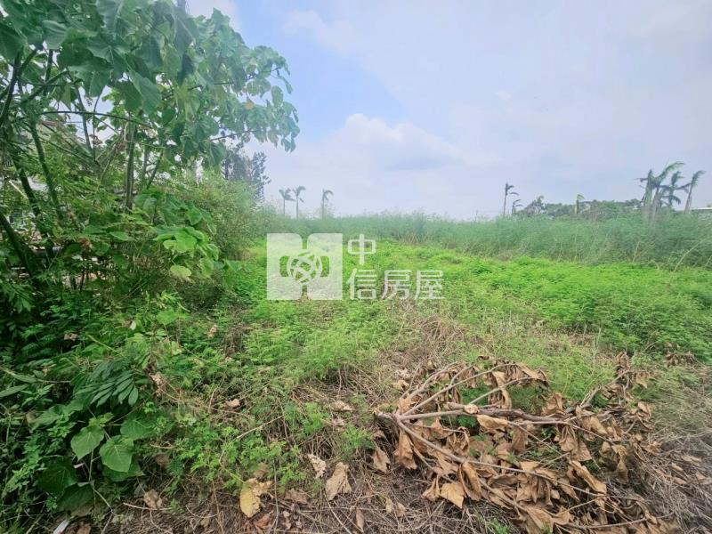 太保安東國小旁持分美地房屋室內格局與周邊環境