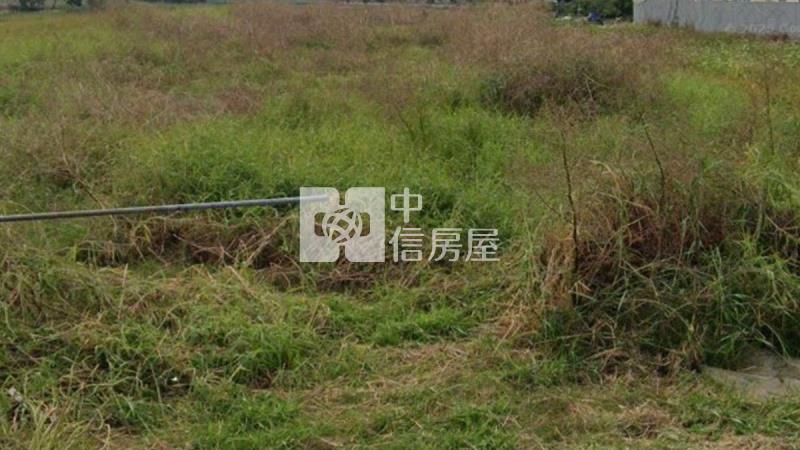 仁德新田近住宅區都內農地房屋室內格局與周邊環境