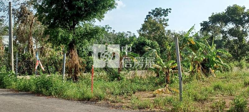 精忠新城邊農地房屋室內格局與周邊環境