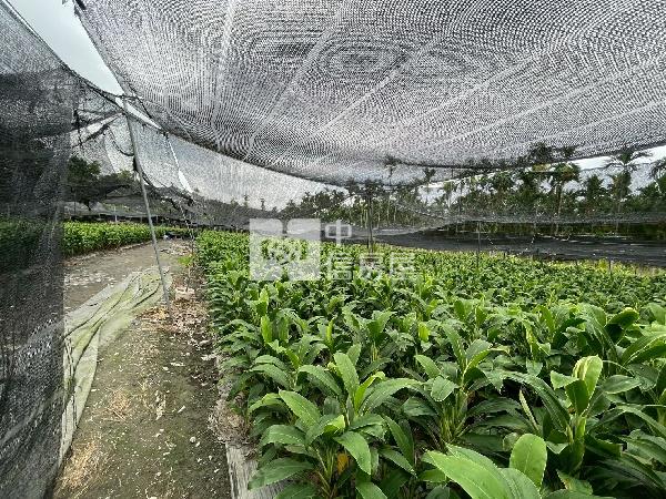 龍泉(都計農地+甲種建地+一般農地)房屋室內格局與周邊環境