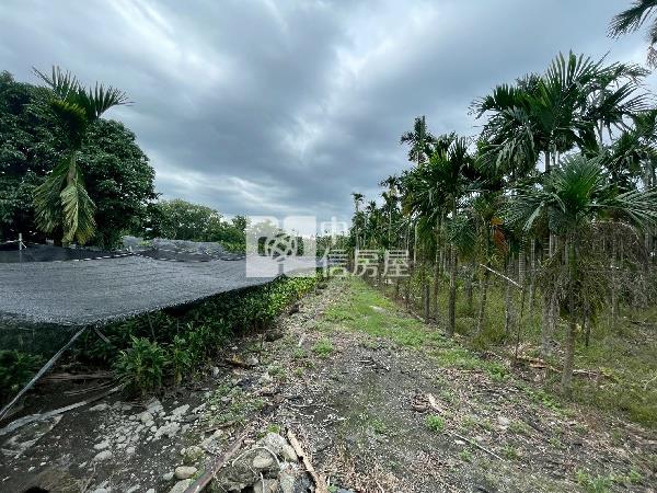 龍泉(都計農地+甲種建地+一般農地)房屋室內格局與周邊環境