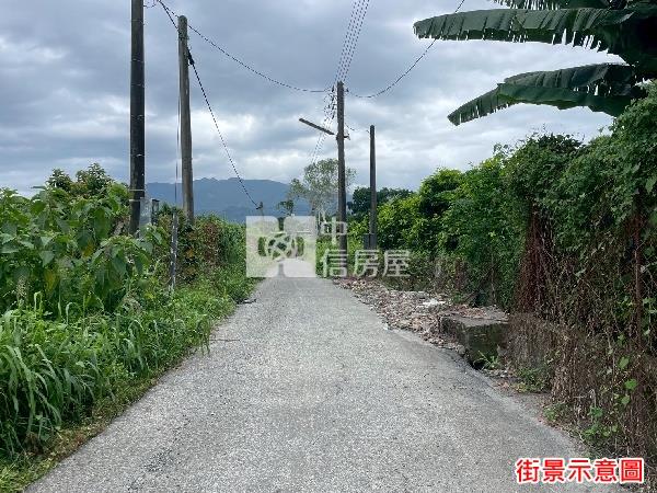 龍泉(都計農地+甲種建地+一般農地)房屋室內格局與周邊環境