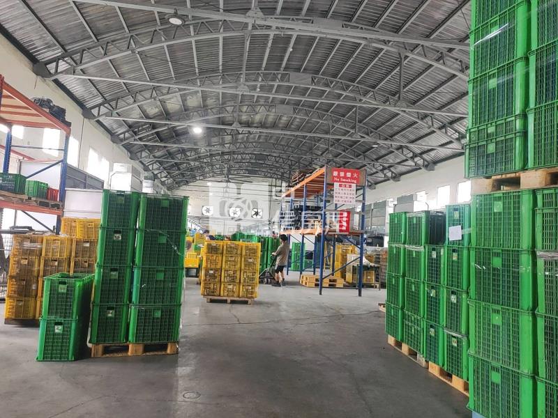 福興丁建收租廠房房屋室內格局與周邊環境