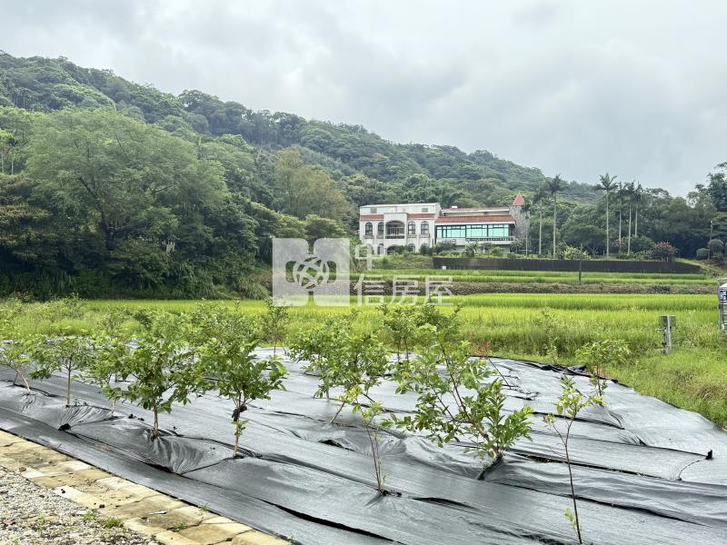 楊梅低總價都內農房屋室內格局與周邊環境