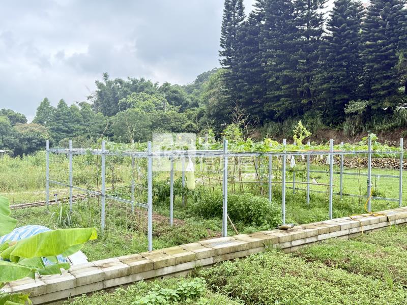 楊梅低總價都內農房屋室內格局與周邊環境