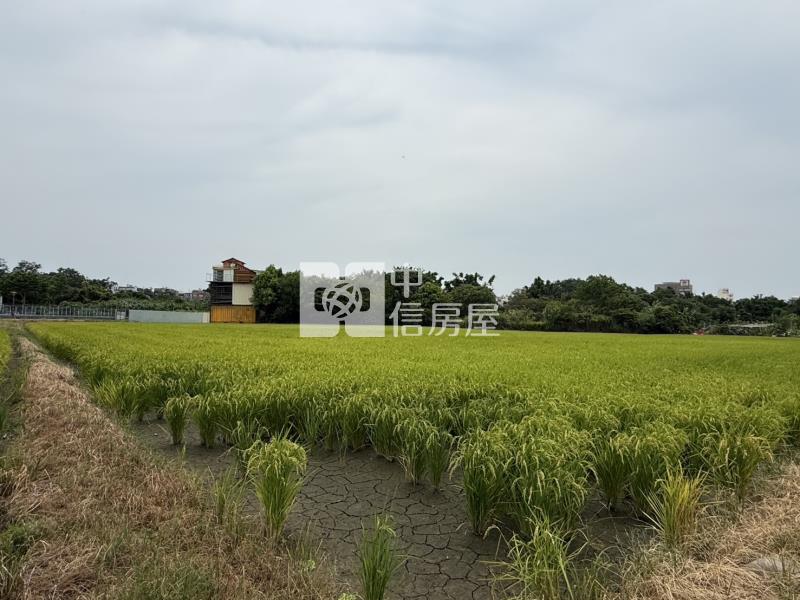 龍泉街旁都內田房屋室內格局與周邊環境
