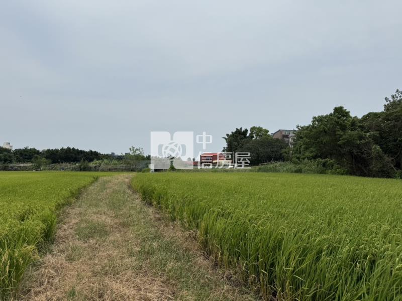 龍泉街旁都內田房屋室內格局與周邊環境
