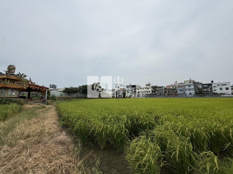 龍泉街旁都內田房屋室內格局與周邊環境