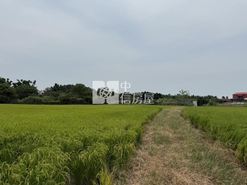 龍泉街旁都內田房屋室內格局與周邊環境