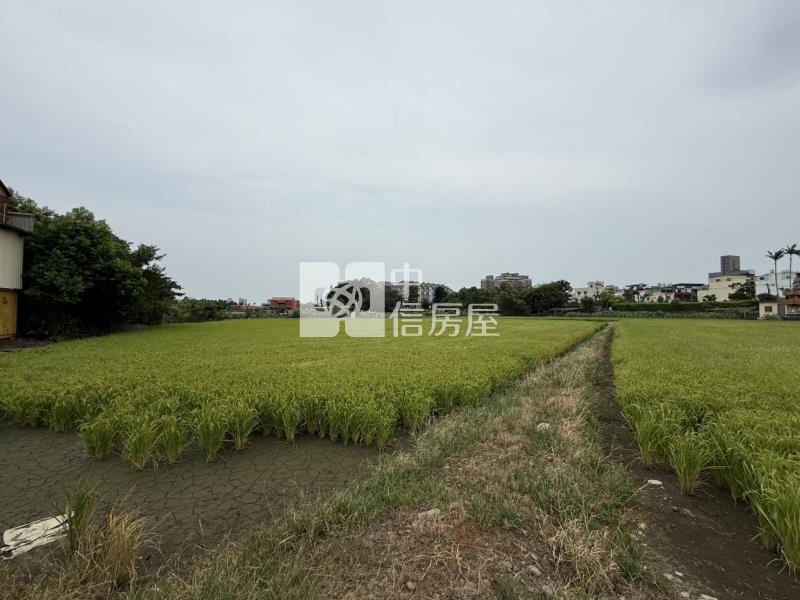 龍泉街旁都內田房屋室內格局與周邊環境
