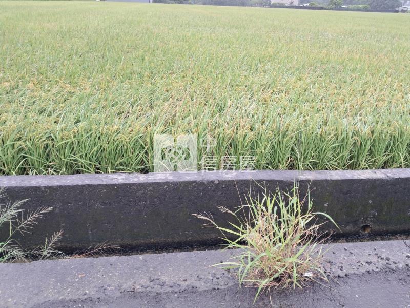 中壢中興路旁一般農房屋室內格局與周邊環境