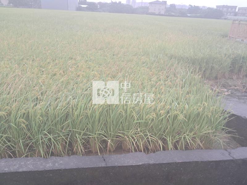 中壢中興路旁一般農房屋室內格局與周邊環境