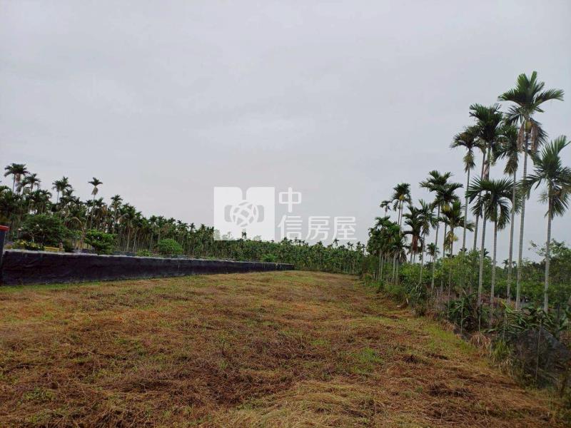 南國慢森新埤綠境心農地房屋室內格局與周邊環境