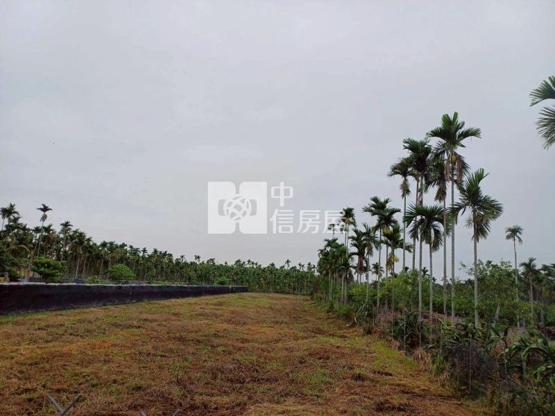 南國慢森新埤綠境心農地房屋室內格局與周邊環境