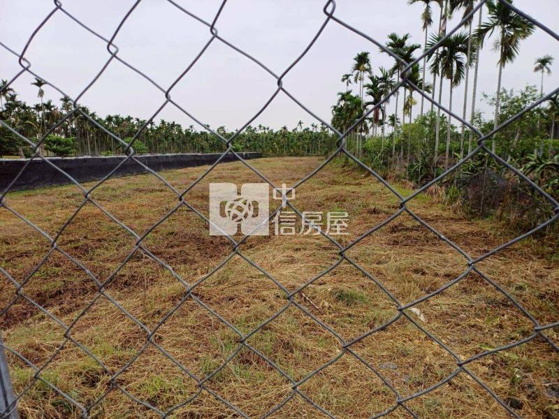 南國慢森新埤綠境心農地房屋室內格局與周邊環境