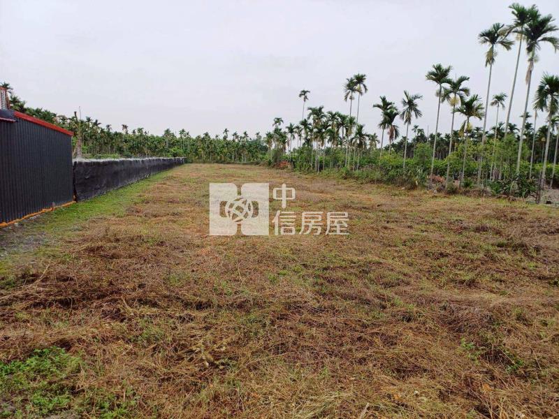 南國慢森新埤綠境心農地房屋室內格局與周邊環境