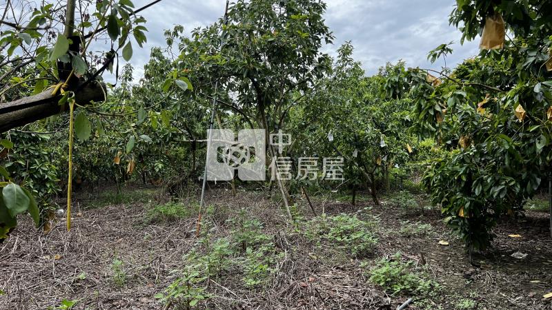 大內近南瀛天文館有水電農地房屋室內格局與周邊環境