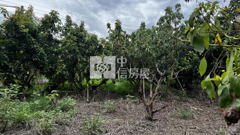 大內近南瀛天文館有水電農地房屋室內格局與周邊環境